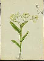  no thumbnail available