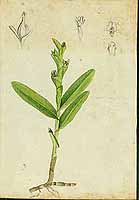  no thumbnail available