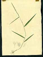  no thumbnail available