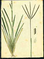  no thumbnail available