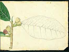  no thumbnail available