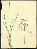  no thumbnail available