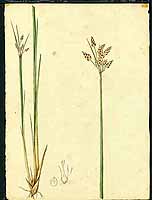  no thumbnail available