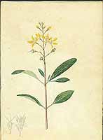  no thumbnail available