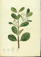  no thumbnail available