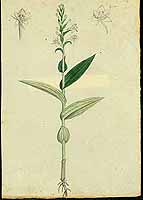  no thumbnail available