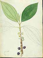  no thumbnail available