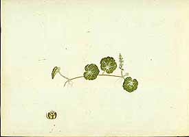  no thumbnail available