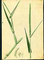  no thumbnail available