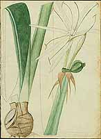  no thumbnail available