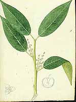  no thumbnail available