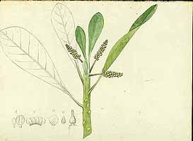  no thumbnail available