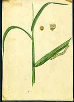  no thumbnail available