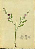  no thumbnail available