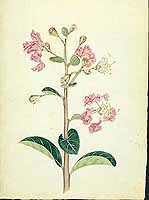  no thumbnail available