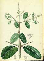  no thumbnail available