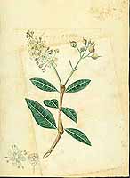  no thumbnail available