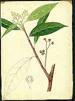  no thumbnail available