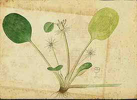  no thumbnail available