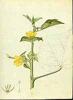  no thumbnail available