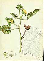  no thumbnail available