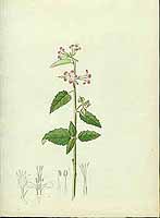  no thumbnail available