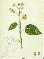  no thumbnail available