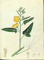  no thumbnail available