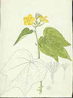  no thumbnail available