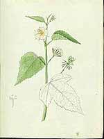  no thumbnail available