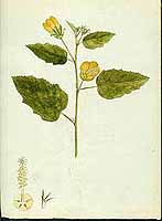  no thumbnail available