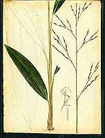  no thumbnail available