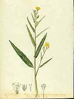  no thumbnail available