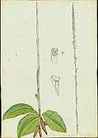  no thumbnail available