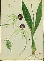  no thumbnail available