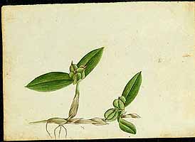  no thumbnail available