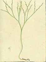  no thumbnail available