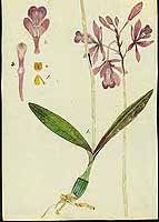  no thumbnail available