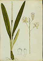  no thumbnail available