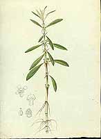  no thumbnail available