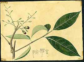  no thumbnail available