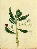  no thumbnail available