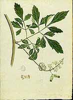  no thumbnail available