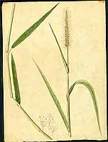  no thumbnail available