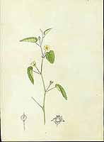  no thumbnail available