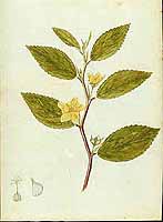  no thumbnail available