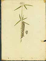  no thumbnail available