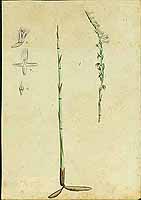  no thumbnail available