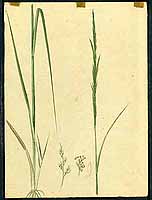  no thumbnail available