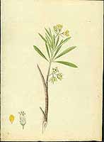  no thumbnail available